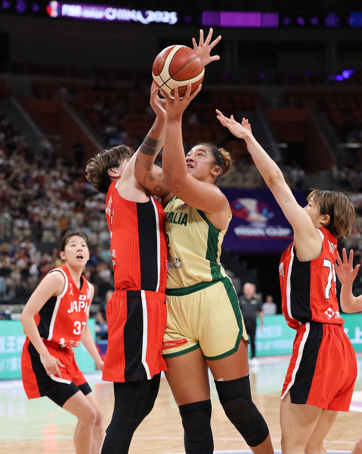 美洲女子篮球 美洲女子篮球