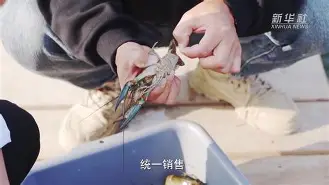 爱游戏官方网站-1955年授衔江苏籍将军