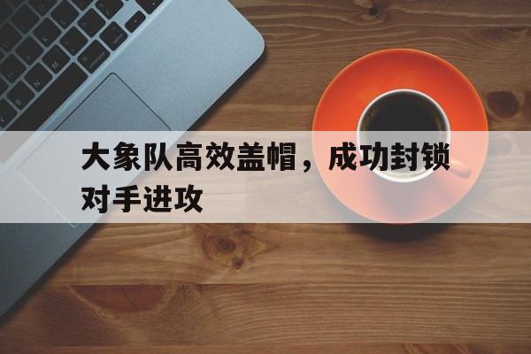 大象比赛