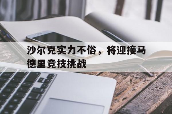 德甲 沙尔克