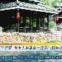 2020欧洲杯捷克队 2020欧洲杯捷克队